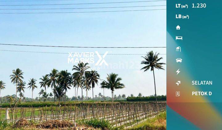 DIJUAL TANAH SAWAH Di Glagahdowo - Pulungdowo, Tumpang Malang 1