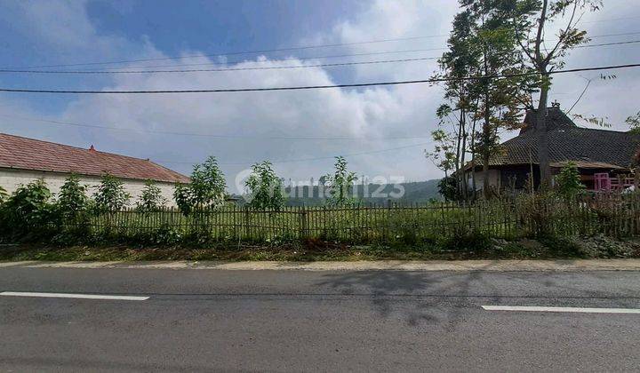 Update Harga Dijual Tanah Kebun Cocok Buat Komersial Di Gubuk Klakah Arah G. Bromo, Malang 1
