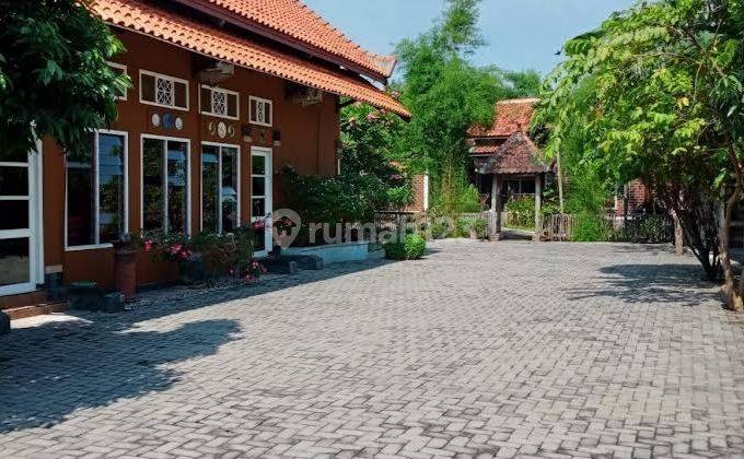 Dijual Rumah Asri & Sejuk Di Godong, Purwodadi 1