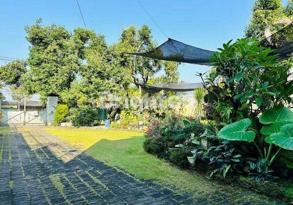   Rumah Mewah Murah Dekat Rumah Pak Jokowi Colomadu Solo  2