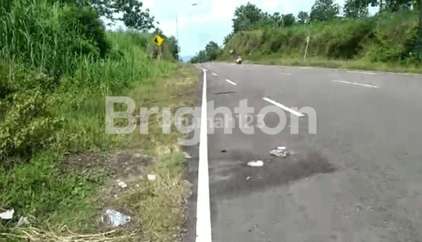 Tanah Murah Wonogiri Siap Bangun Dekat Jalan Lingkar Parcimantoro 2