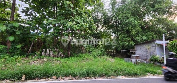 Cheap Land for Rent Ready to Build in Moiosongo Jebres Solo