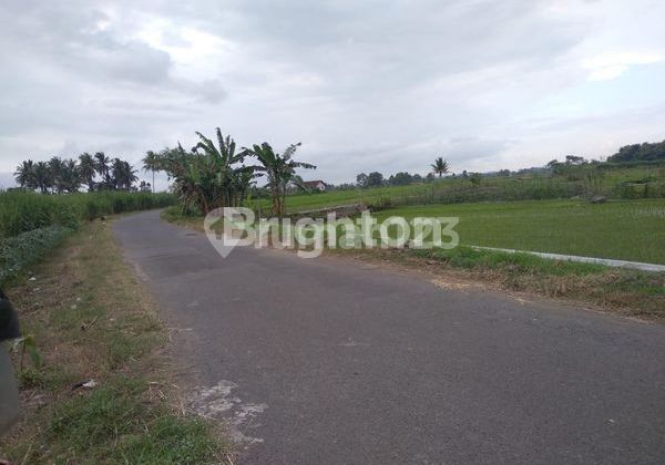 Tanah Murah Jogja Cocok Untuk Perumahan di Godean Sleman