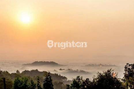 Tanah Murah Strategis Magelang Dekat Wisata Gereja Ayam Magelang 2