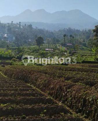 Tanah Murah Strategis di Ngargoyoso Kemuning Karanganyar 1