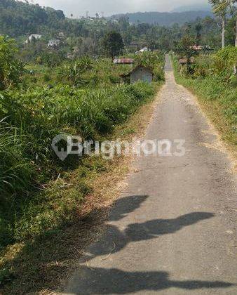 Tanah Murah Strategis di Ngargoyoso Kemuning Karanganyar 2