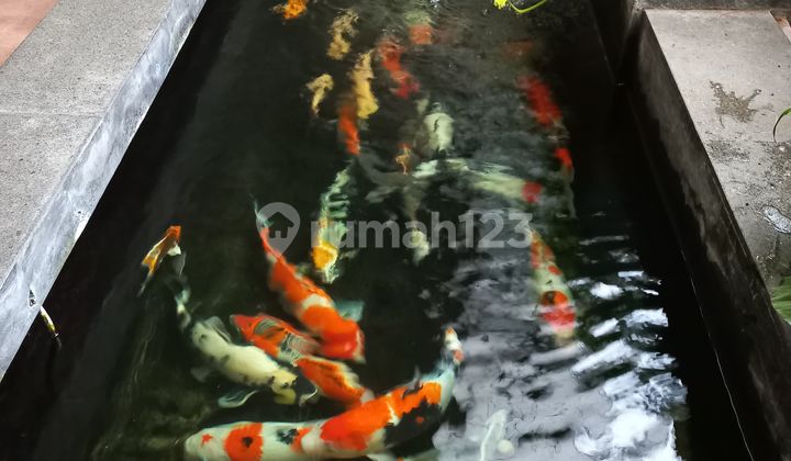 Dijual Rumah Cantik Siap Huni di Ciputat Pamulang 2