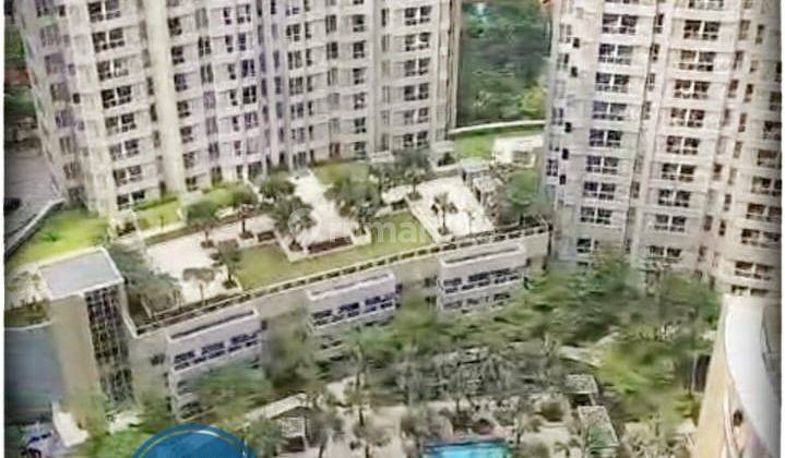 Taman Anggrek Residence Turun Harga 1 BR Dijual Cepat Pool View 2