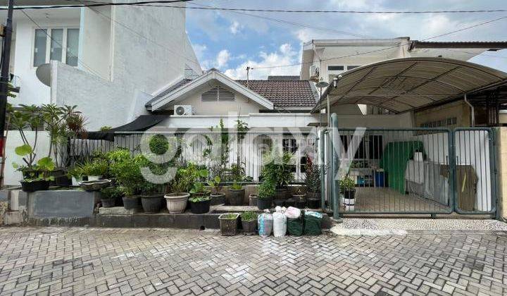 JUAL RUMAH 1 LANTAI DI KLAMPIS SEMOLO 1