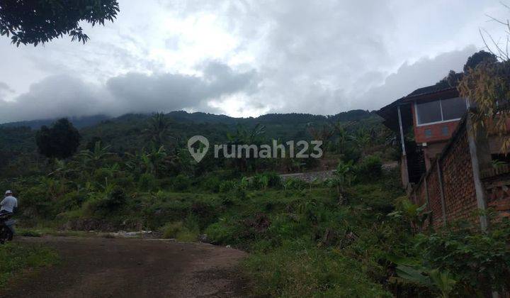 Tanah Murah di Cipayung Megemendung Bogor 5