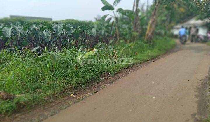 Tanah di Pasir kakapa cilewer sentul Bogor 3