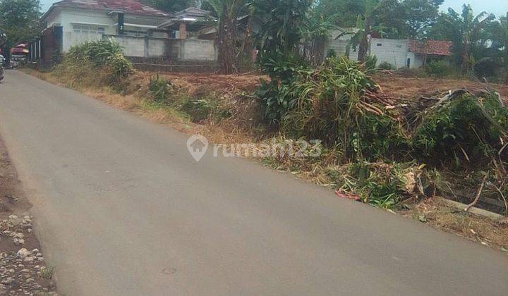 Tanah Perkebunan Murah Cidahu Sukabumi Bogor 2