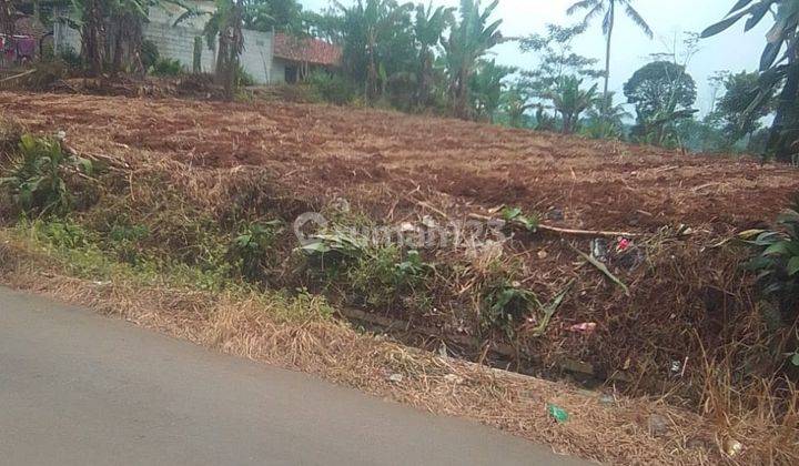 Tanah Perkebunan Murah Cidahu Sukabumi Bogor 5