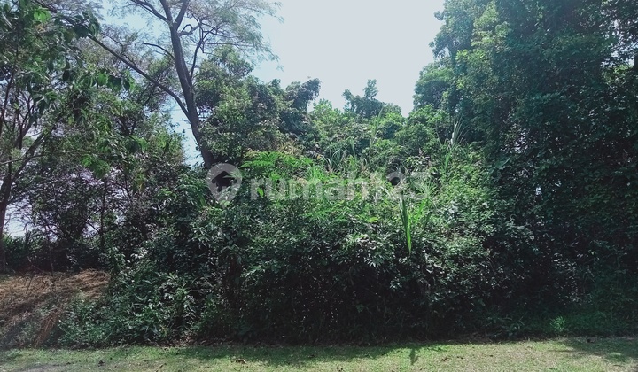 Tanah Perkebunan Murah Cidahu Sukabumi Bogor 6