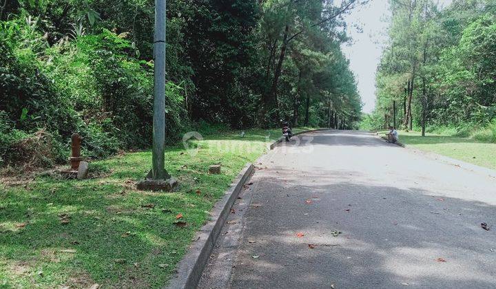 Tanah Perkebunan Murah Cidahu Sukabumi Bogor 7