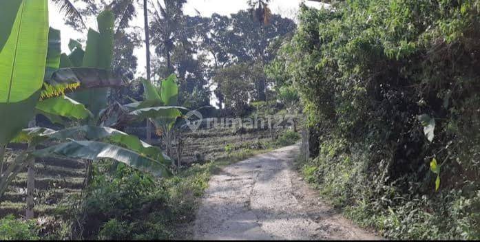 Tanah murah di Parung kuda Sukabumi Jawa barat Bogor 1