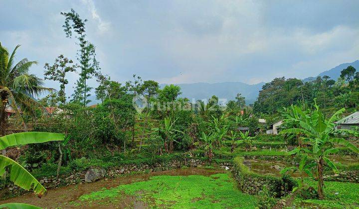 DI JUAL TANAH SAWAH LOKASI SANGAT STRATEGIS VIEW LEPAS  2