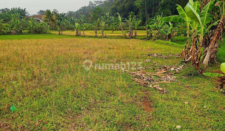 DI JUAL LAHAN TANAH NEMPEL JALAN RAYA  2