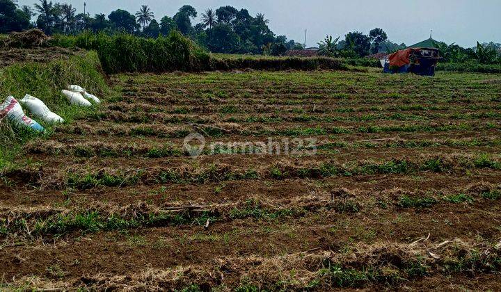 Di jual tanah 3
