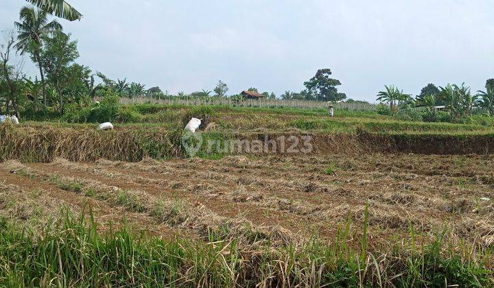 Di jual tanah 4
