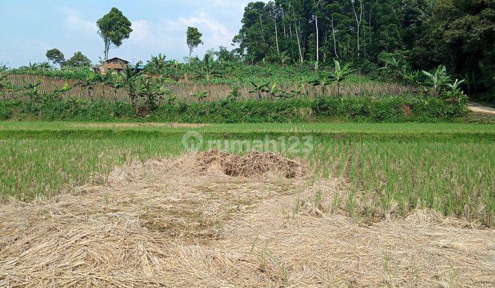 Di jual tanah view lepas  5