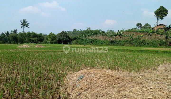 Di jual tanah view lepas  6