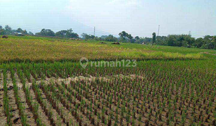 Di jual tanah view lepas  8
