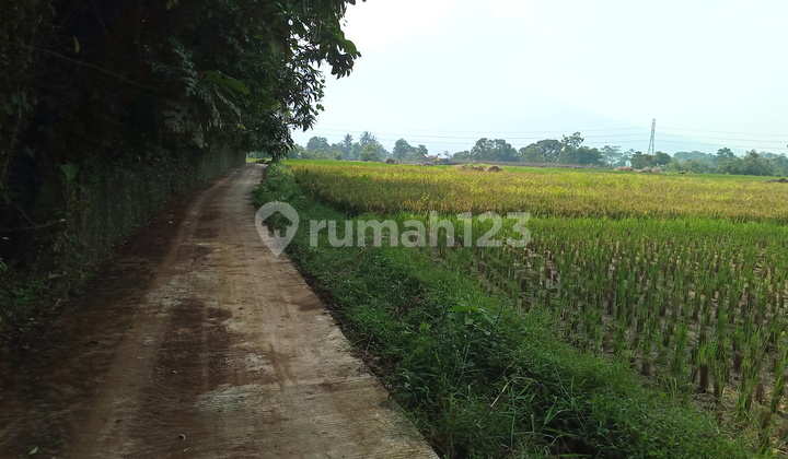 Di jual tanah view lepas  9