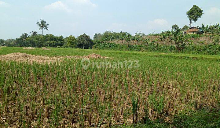 Di jual tanah view lepas  10