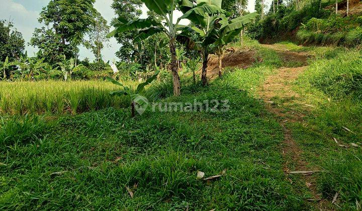 Di jual tanah view lepas  3