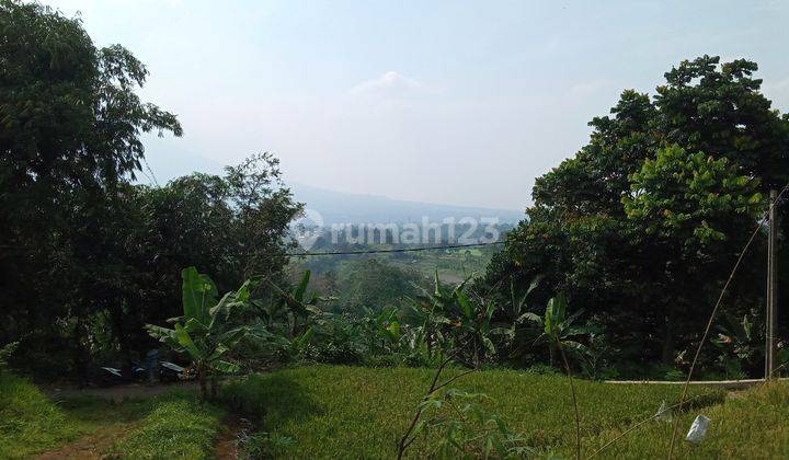 Di jual tanah view lepas  5