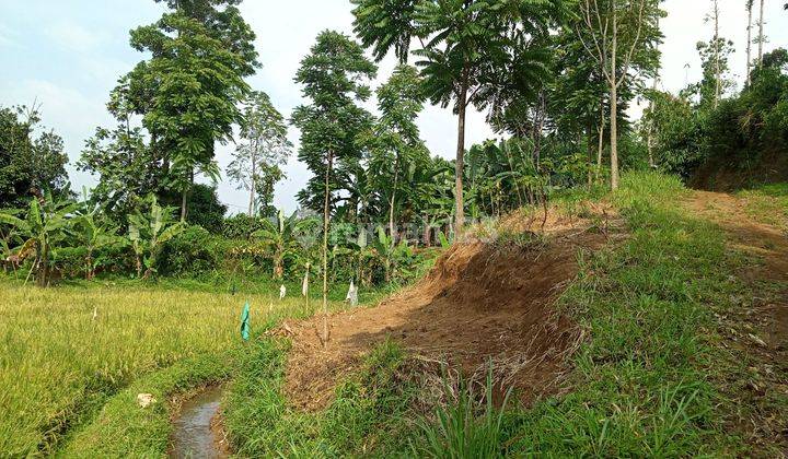 Di jual tanah view lepas  7