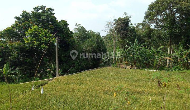 Di jual tanah view lepas  8