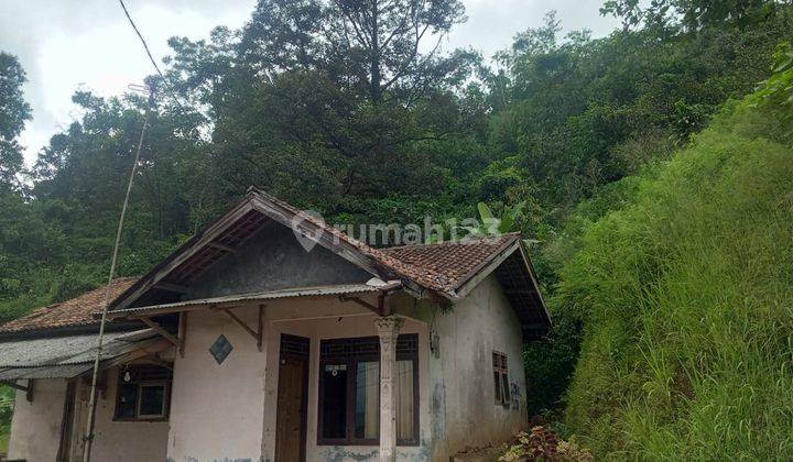 Di jual tanah+bangunan view lepas  4