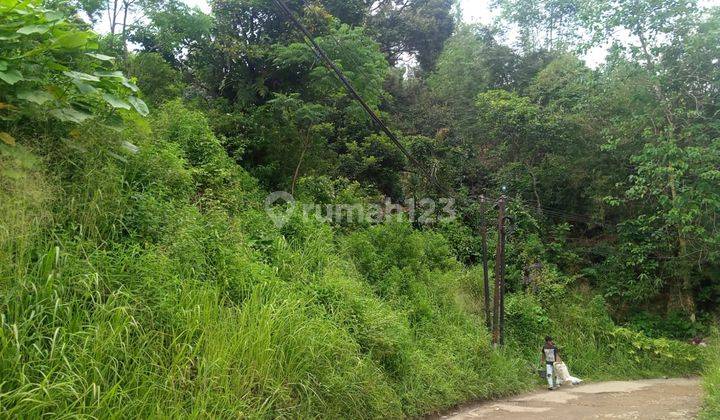 Di jual tanah+bangunan view lepas  6