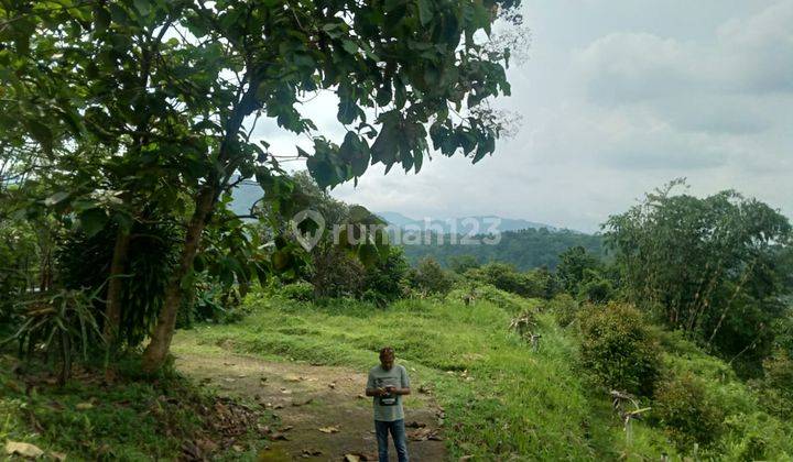 Di jual sebidang tanah view lepas  3