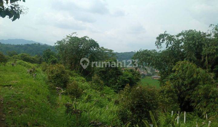 Di jual sebidang tanah view lepas  9