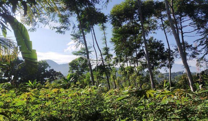Di jual tanah di Bukit Sentul Bojong koneng  4