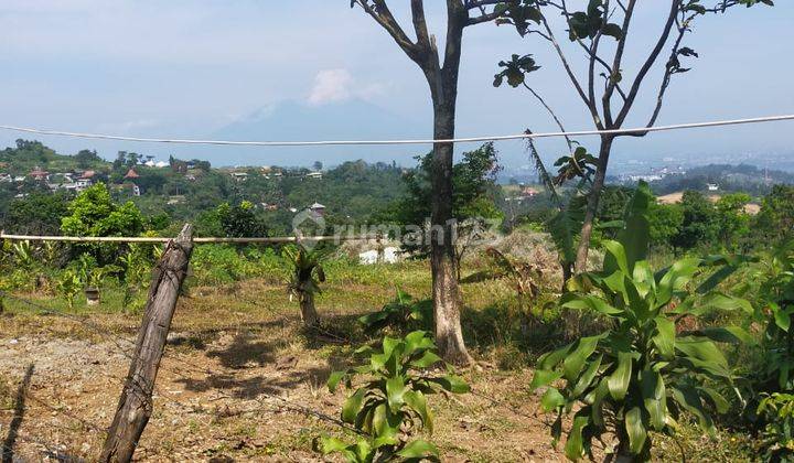 Lokasi untuk cafe resort dan villa lokasi sangat view lepas  2