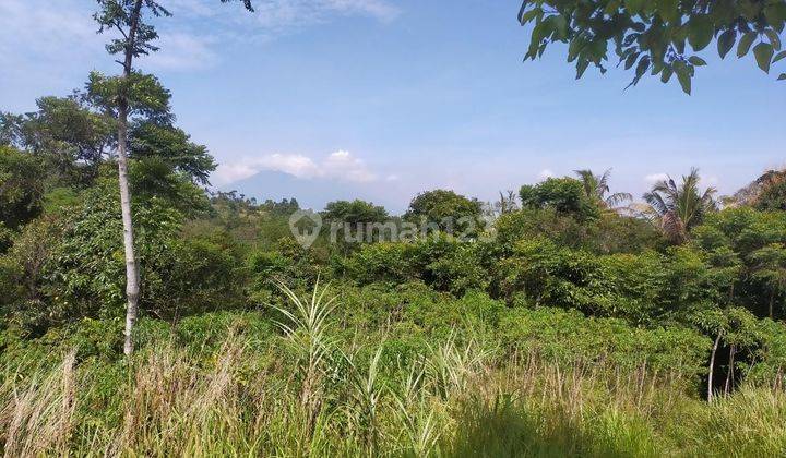 Di jual tanah lokasi strategis  5