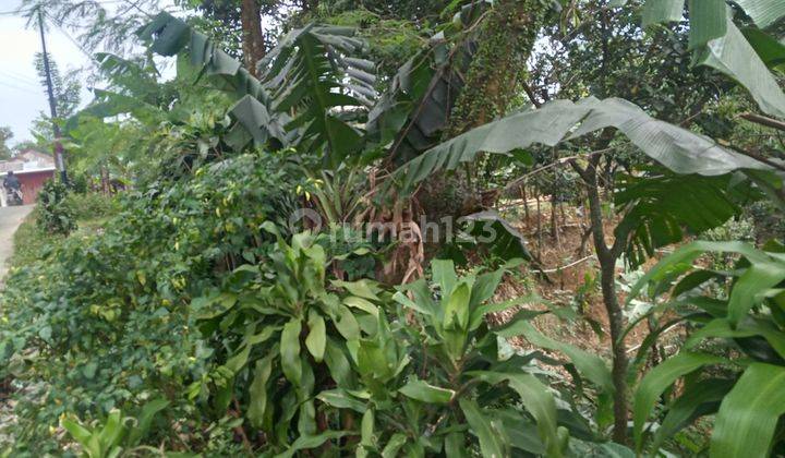 Di jual tanah di Bojong koneng jalan strategis  3