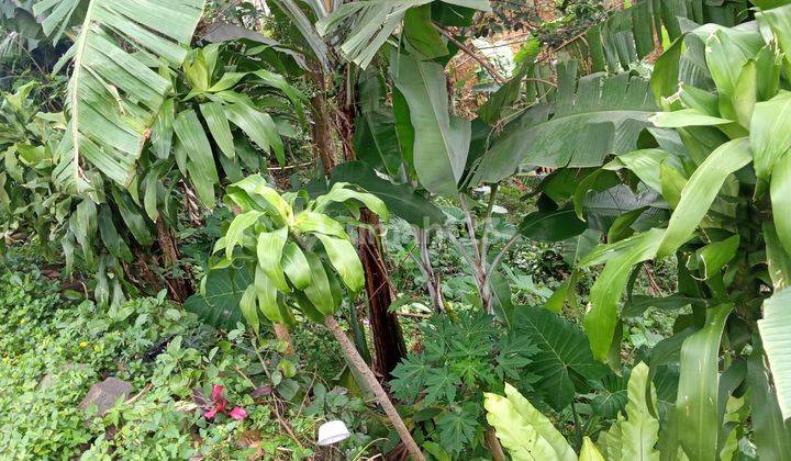 Di jual tanah di Bojong koneng jalan strategis  5