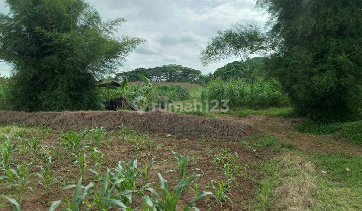 Di jual sebidang tanah  2