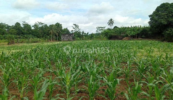 Di jual sebidang tanah  9