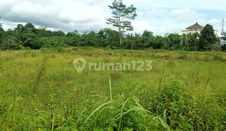 Di jual tanah dijalan Raya sangat strategis  4