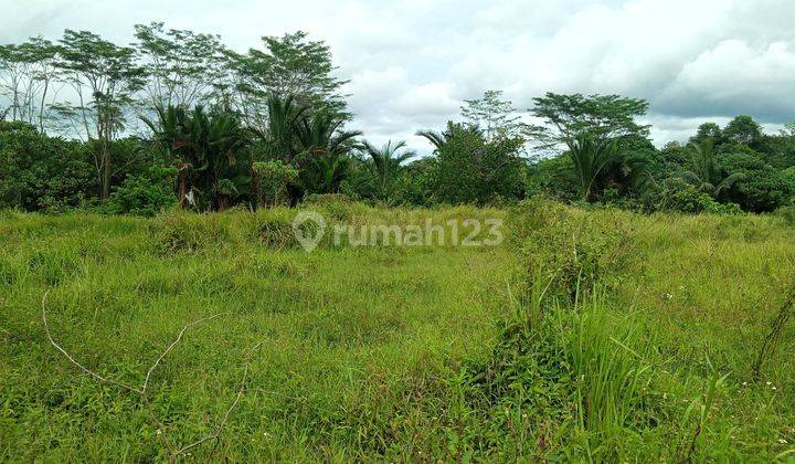 Di jual tanah dijalan Raya sangat strategis  8
