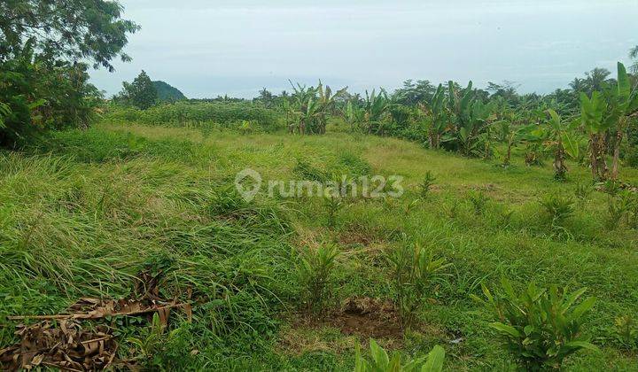 Di jual tanah di jalan raya rumpin desa rabak 1