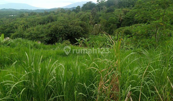 Di jual sebidang tanah lokasi sangat strategis view lepas  2