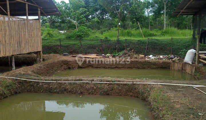 Di jual sebidang tanah + bangunan  di daerah rumpin desa Cibodas  2