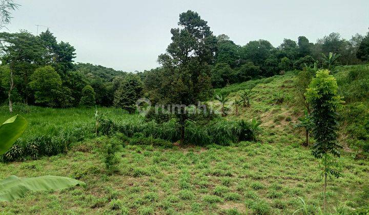 Di jual sebidang tanah di daerah rumpin desa Cibodas jalan strategis  1